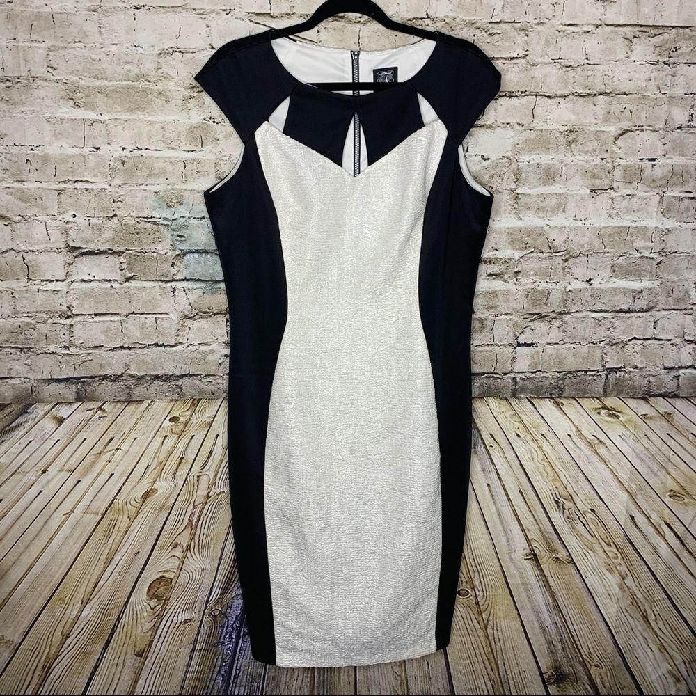 Jax Color Block Form-fitting Dress size 16.